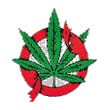 Emi